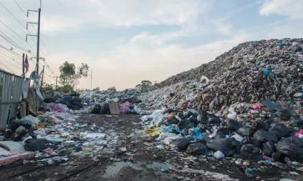 Isu Lingkungan Dan Upaya Pemerintah Mengatasinya