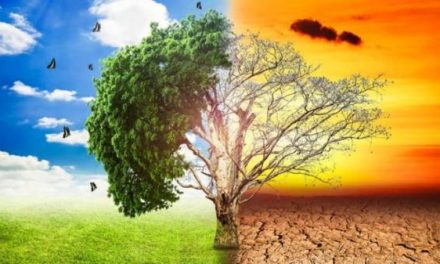 Perubahan Iklim Dan Upaya Internasional Untuk Mengatasinya