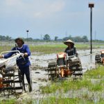 Ragam Perubahan Sosial Dalam Kehidupan Sehari-Hari