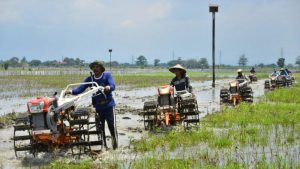 Ragam Perubahan Sosial Dalam Kehidupan Sehari-Hari
