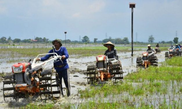 Ragam Perubahan Sosial Dalam Kehidupan Sehari-Hari