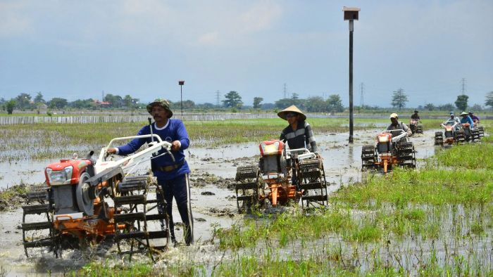 Ragam Perubahan Sosial Dalam Kehidupan Sehari-Hari