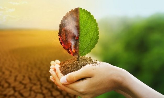 Isu Lingkungan Global Yang Semakin Menjadi Perhatian Dunia
